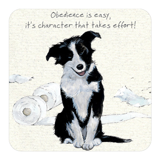 Border Collie Coaster | Obedience