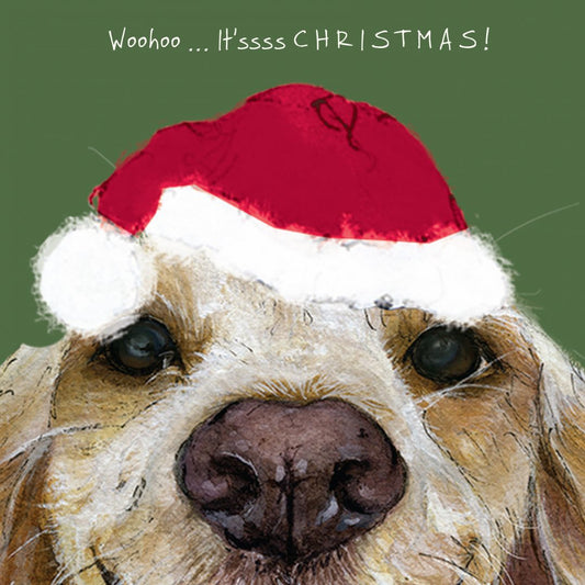 Spaniel Christmas Card - It's Christmas