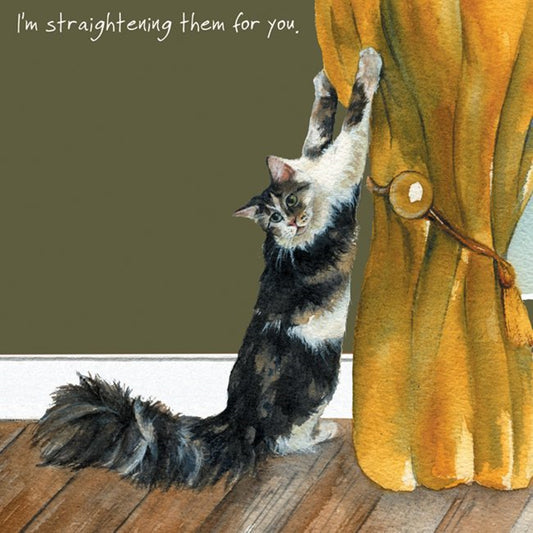 Cat Greeting Card - Straightening