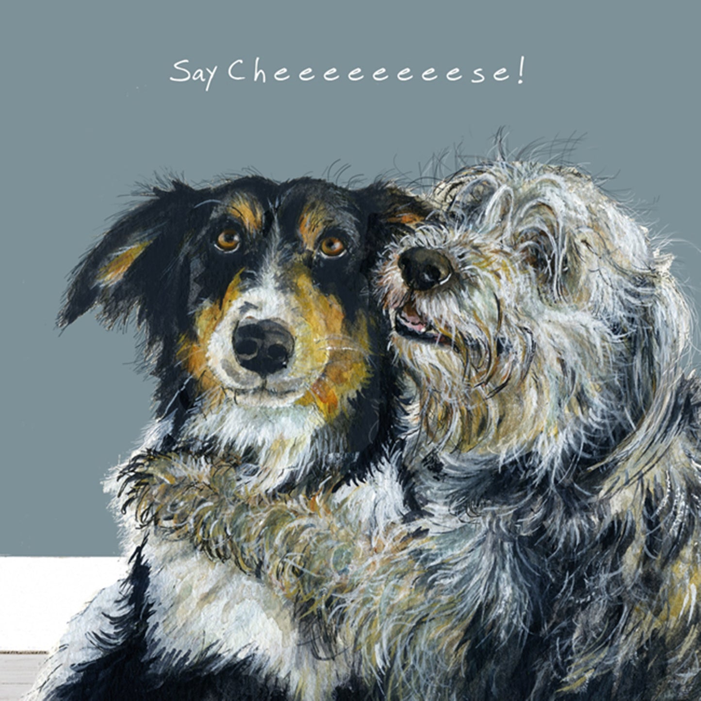 Collies Greeting Card - Say Cheese