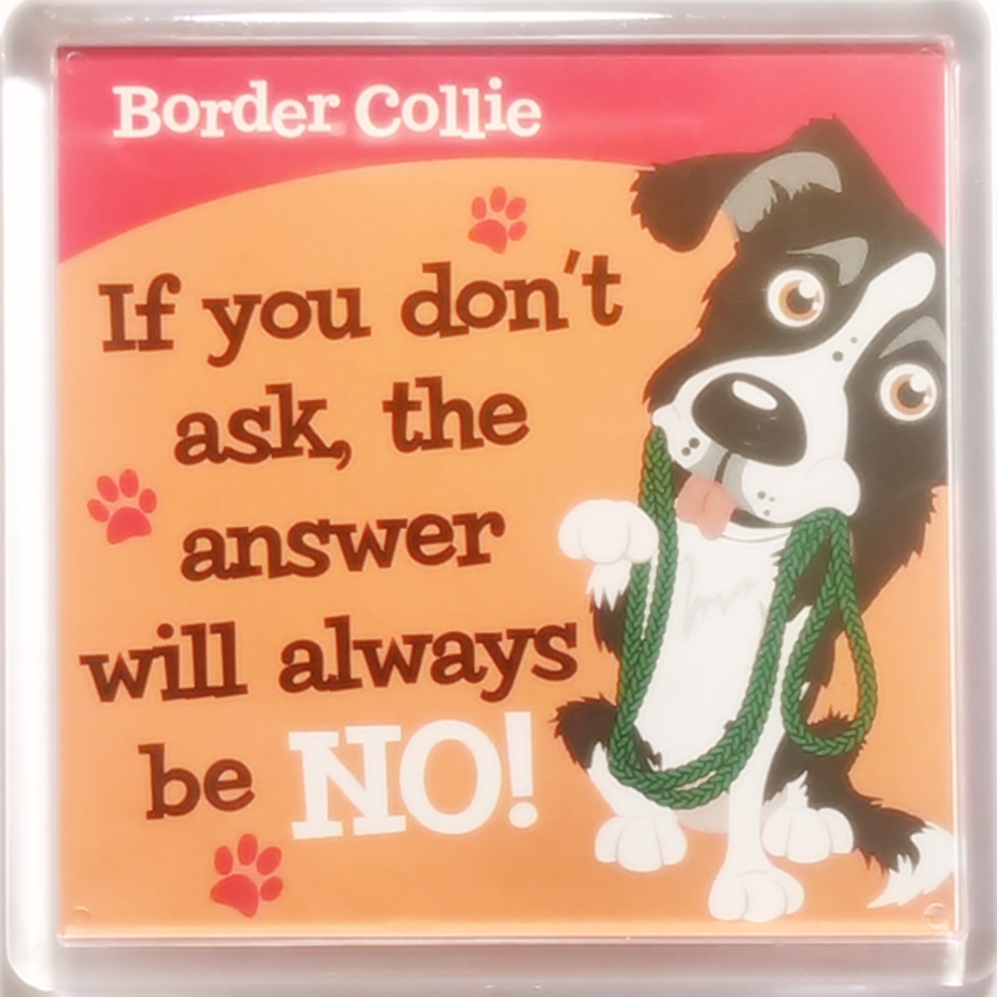 Wags & Whiskers Dog Magnet "Border Collie" by Paper Island