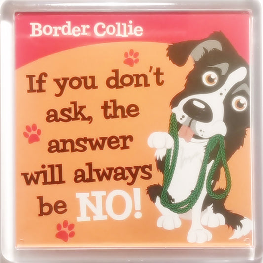 Wags & Whiskers Dog Magnet "Border Collie" by Paper Island