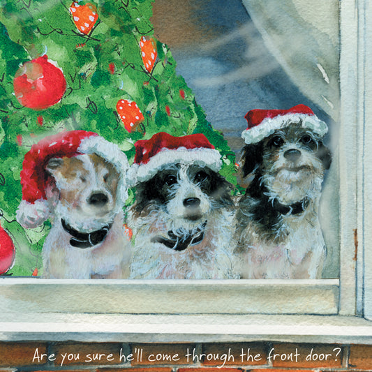 Terrier Christmas Card - Front Door