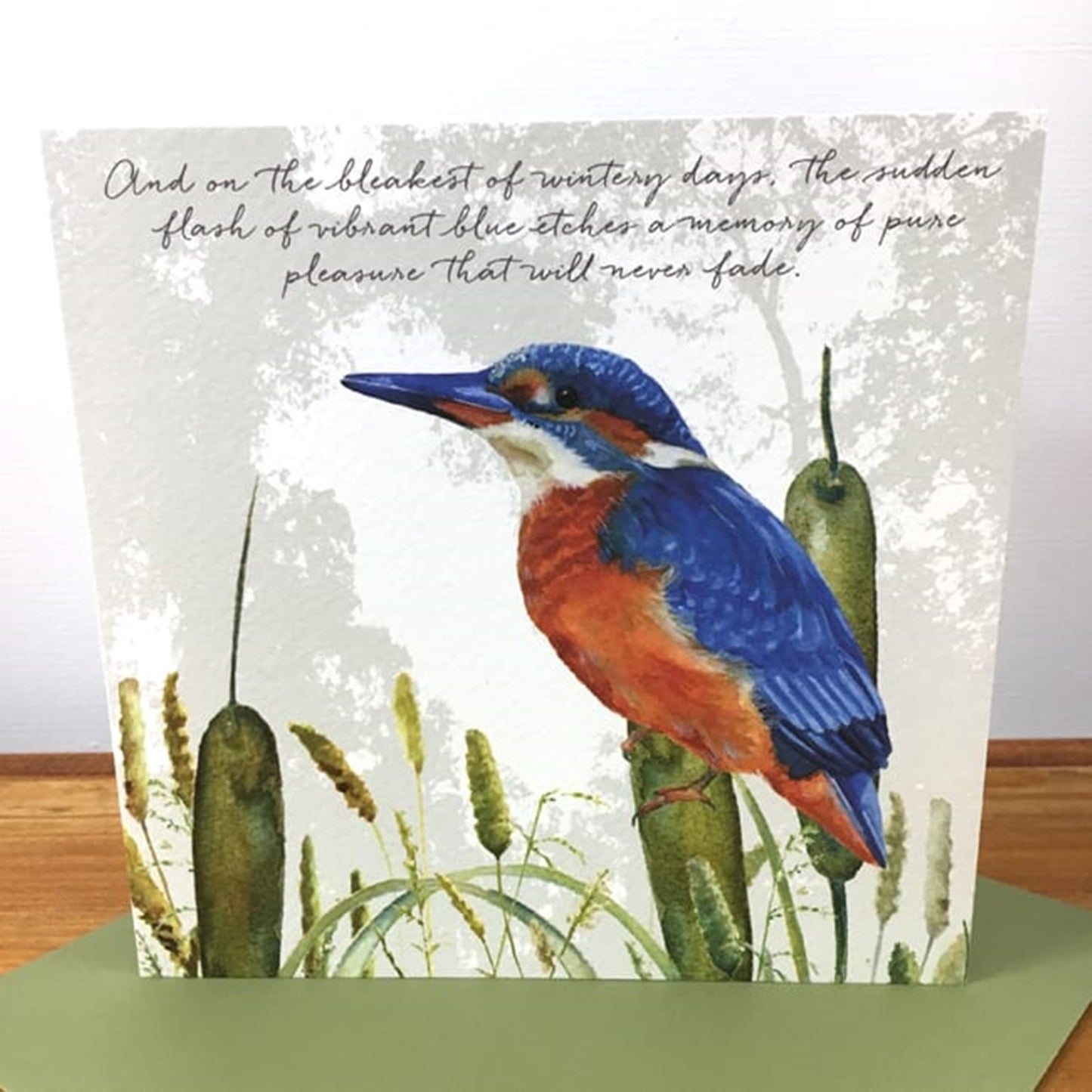 Kingfisher Greeting Card
