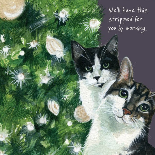 Moggie Cats Christmas Card - Stripped