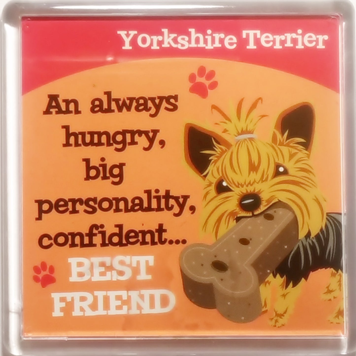 Wags & Whiskers Dog Magnet "Yorkshire Terrier" by Paper Island