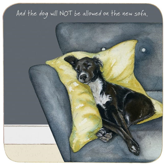 Rescue Dog Coaster - Not Sofa