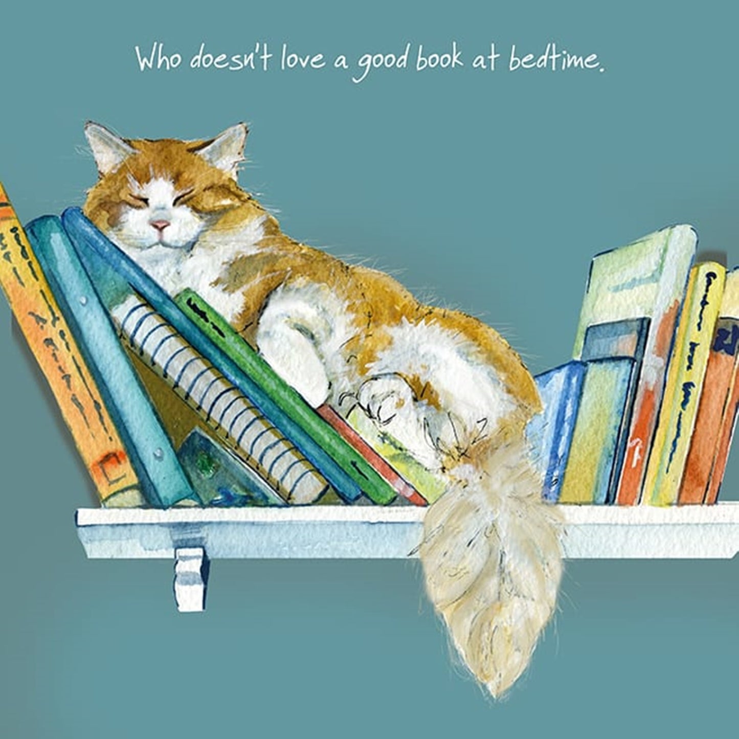 Ginger and White Cat Greeting Card "Who doesn't like a good book at bedtime"