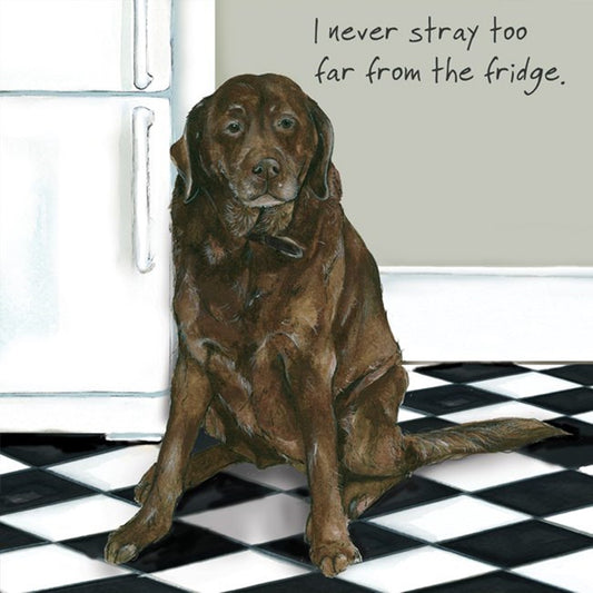 Chocolate Labrador Greeting Card - Fridge Stray