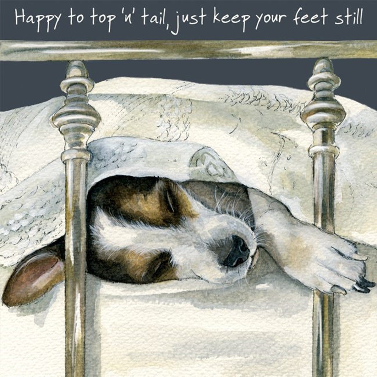 Smooth Hair Jack Russell Greeting Card - Top and Tail