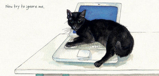 Black Cat Greeting Card - Ignore.