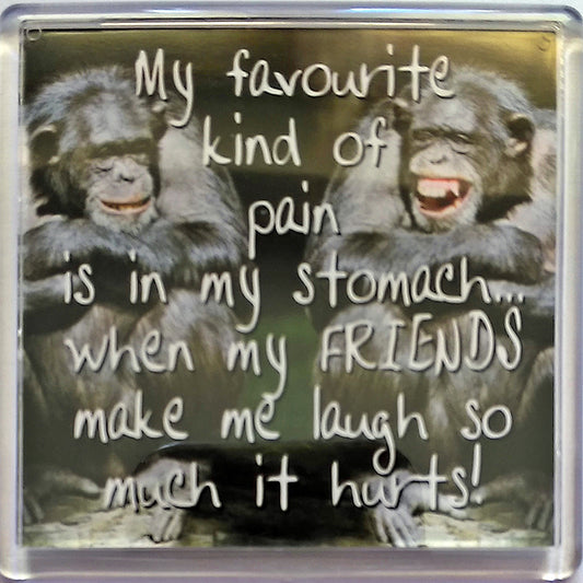 Heart & Home Sentiment Fridge Magnet "My favourtie kind of pain is in my stomach.... When my friends make me laugh so much it hurts!!"