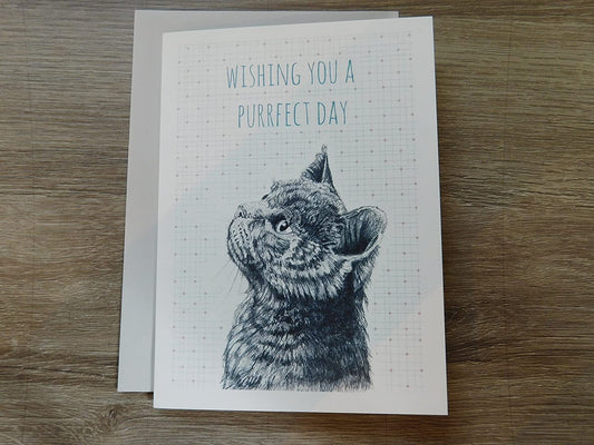East Of India - Animal greeting card - Wishing you a purrfect day
