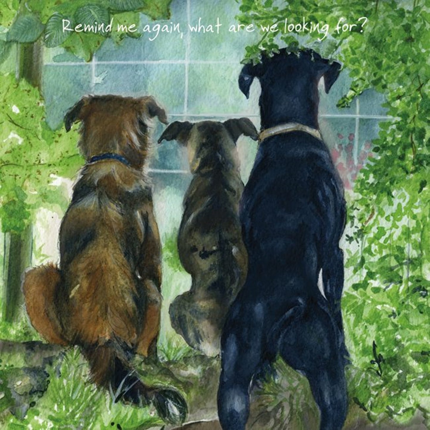 Rescue Dogs Greeting Cards - Watchdogs