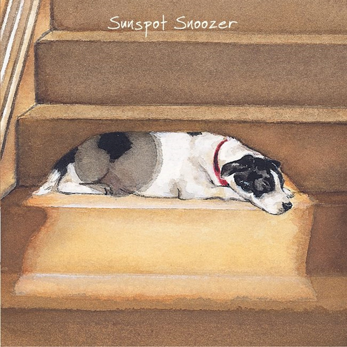 Jack Russell Staffie X Greeting Card - Sunspot Snoozer