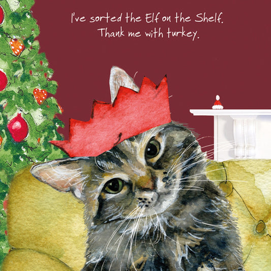 Tabby Cat Christmas Card - Sorted Elf
