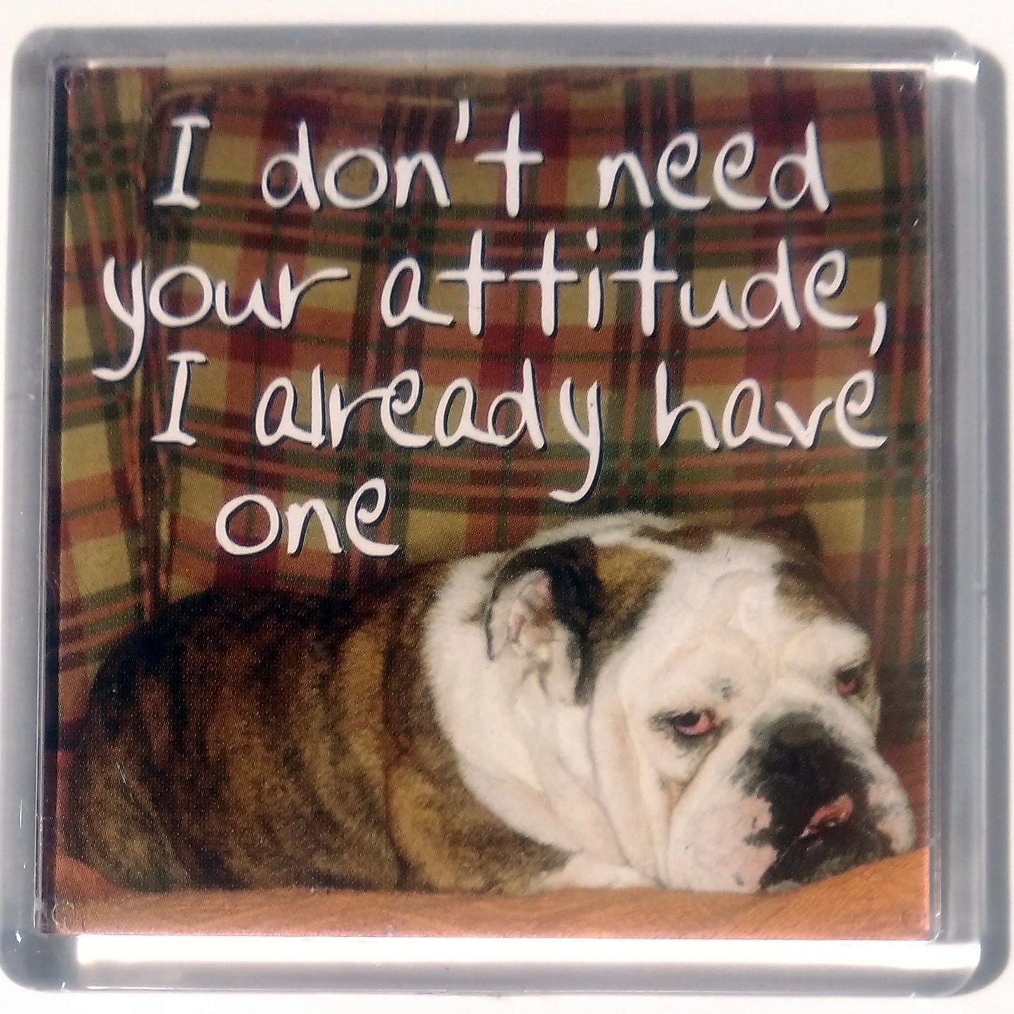 Heart And Home Sentiment Fridge Magnet - Animal/Humour MAG-161 / I don't need your attitude, I already have one