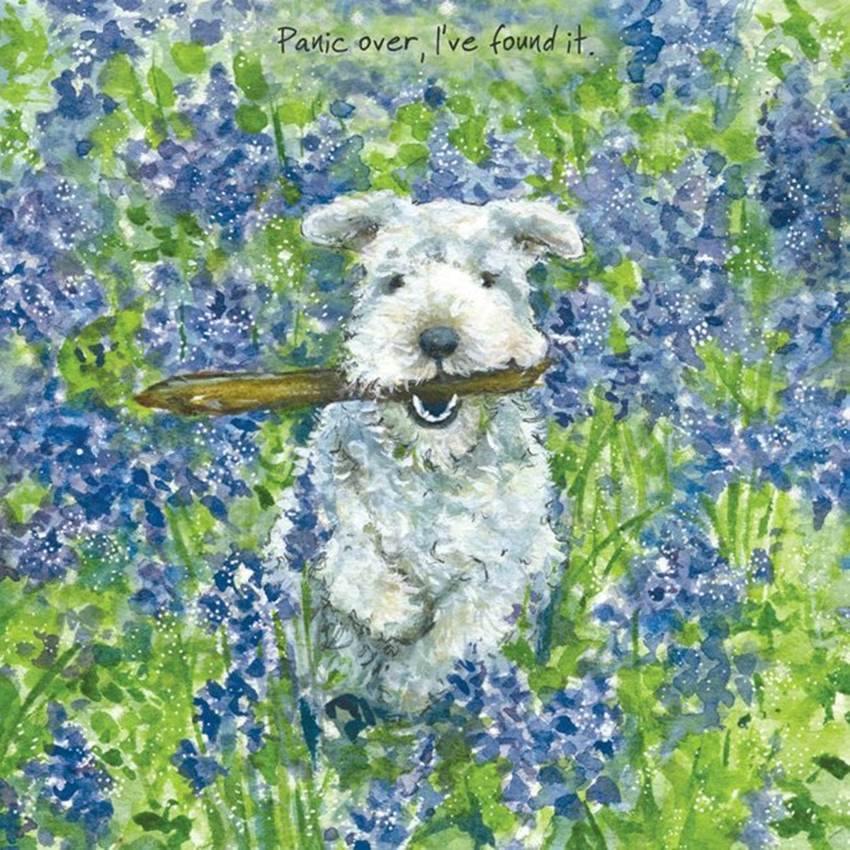 Lakeland Terrier Greeting Card - Bluebells