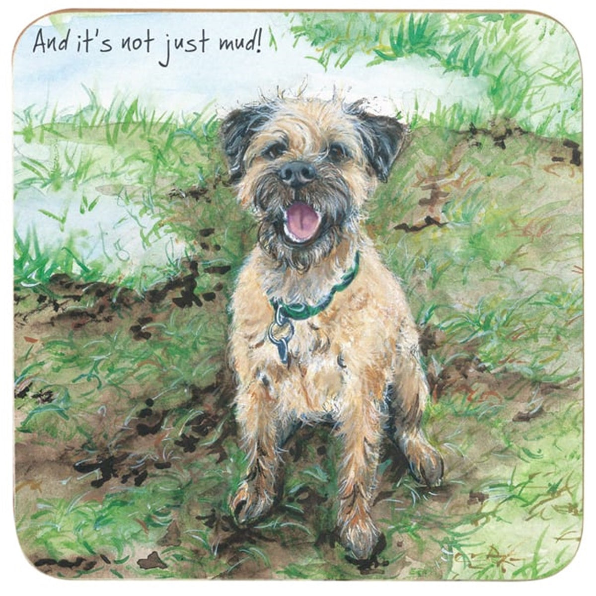 Border Terrier Dog Coaster - Not Mud