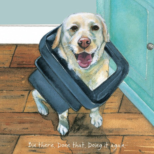 Labrador Dog Greeting Card - Bin There.