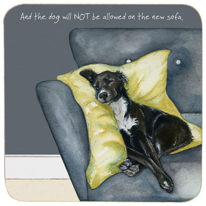 Rescue Dog Greeting Card - Not sofa.
