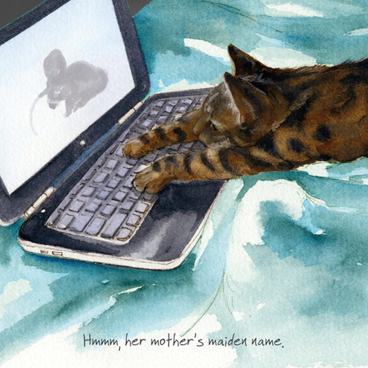 Tabby Cat Greeting Card - Hacker Cat