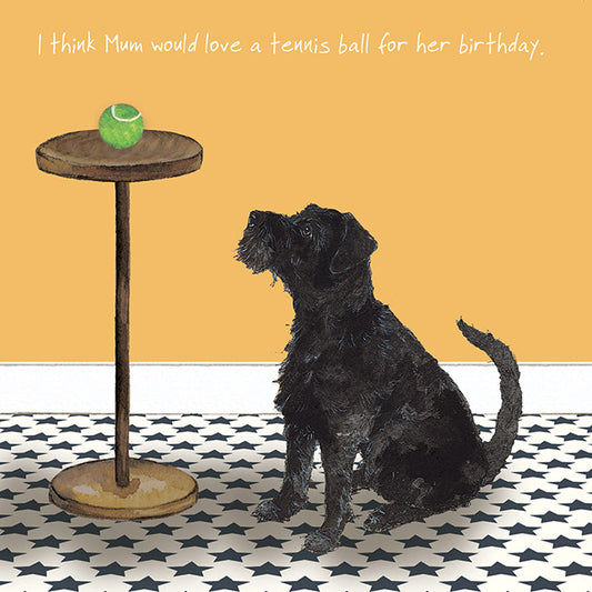 Patterdale Dog Birthday Card