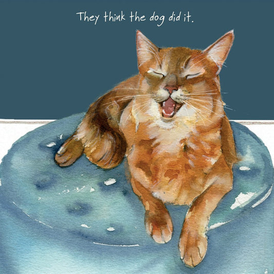 Lilac Somali Cat Greeting Card - Dog Did It