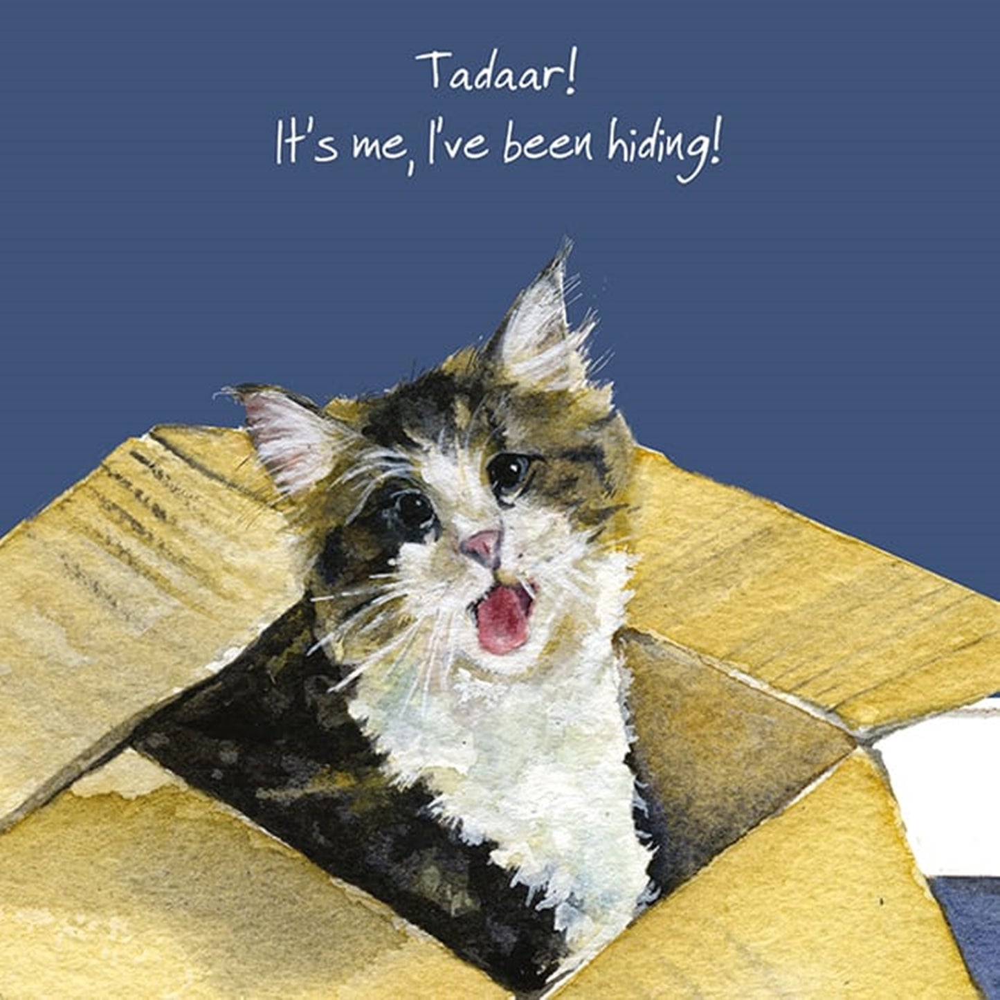 Maine Coon Cat Greeting Card "Tadarr! It's me, I've been hiding!"