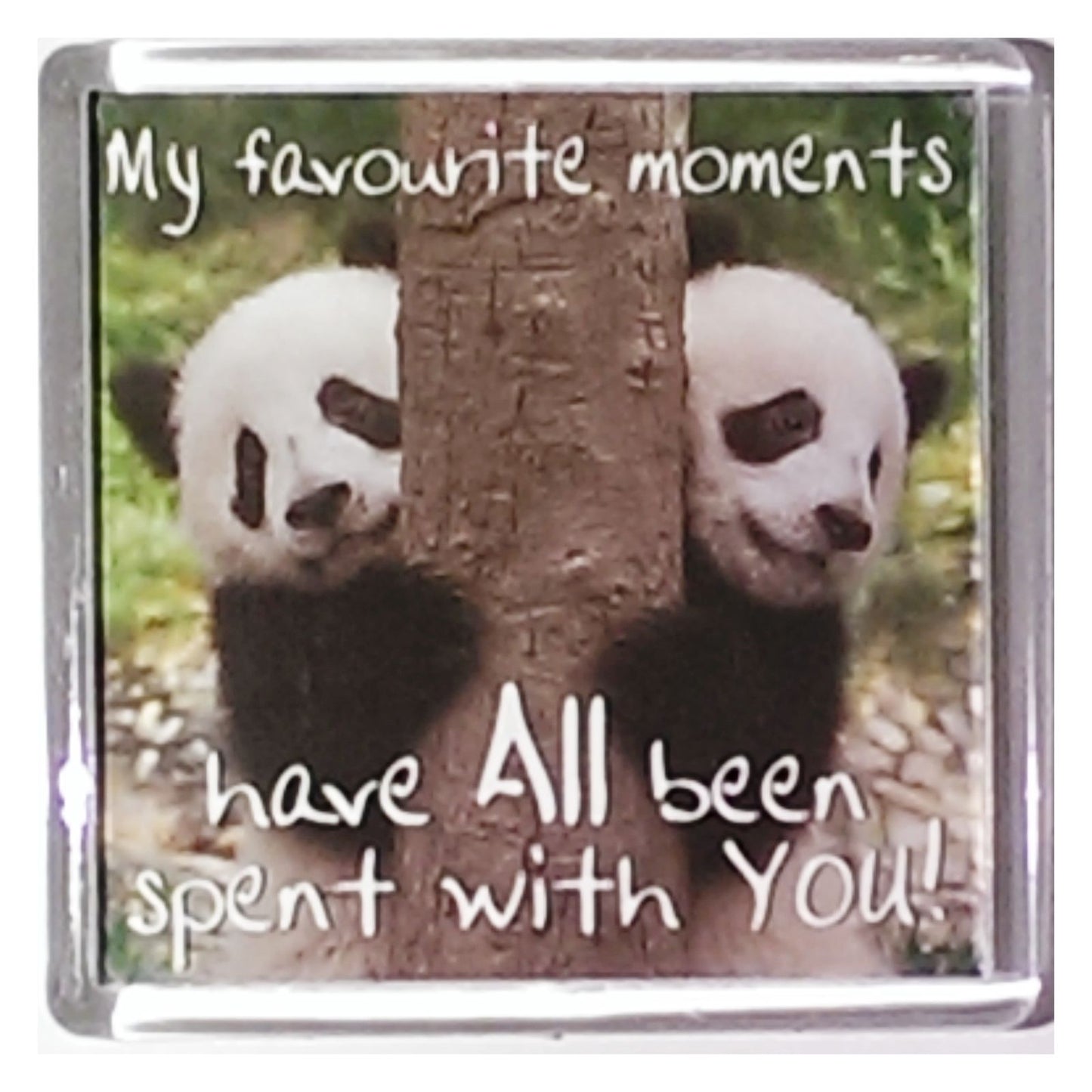 History & Heraldry Sentiment Fridge Magnet My favourite moments have